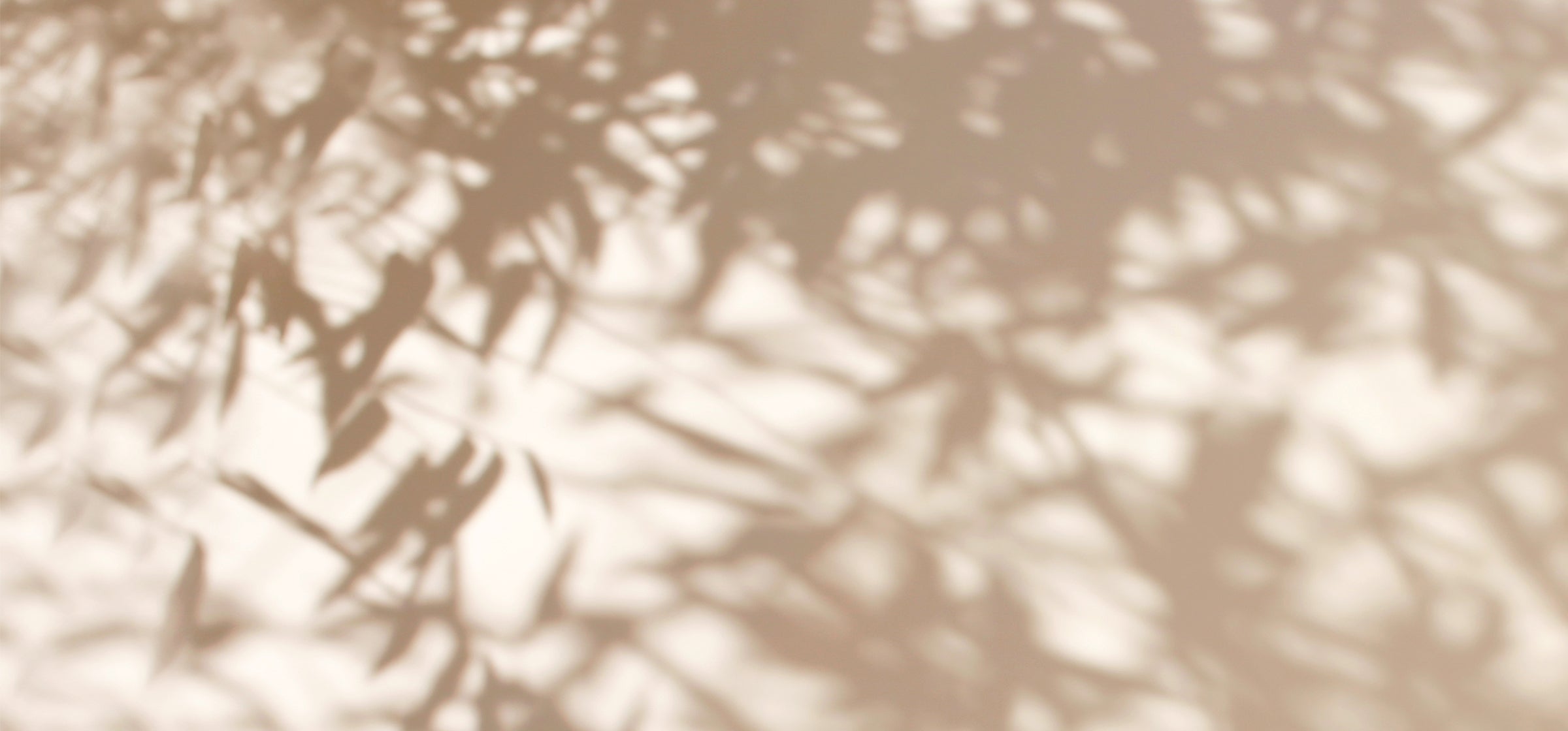 Schatten von Pflanzen auf weißer Wand