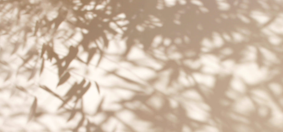 Schatten von Pflanzen auf weißer Wand