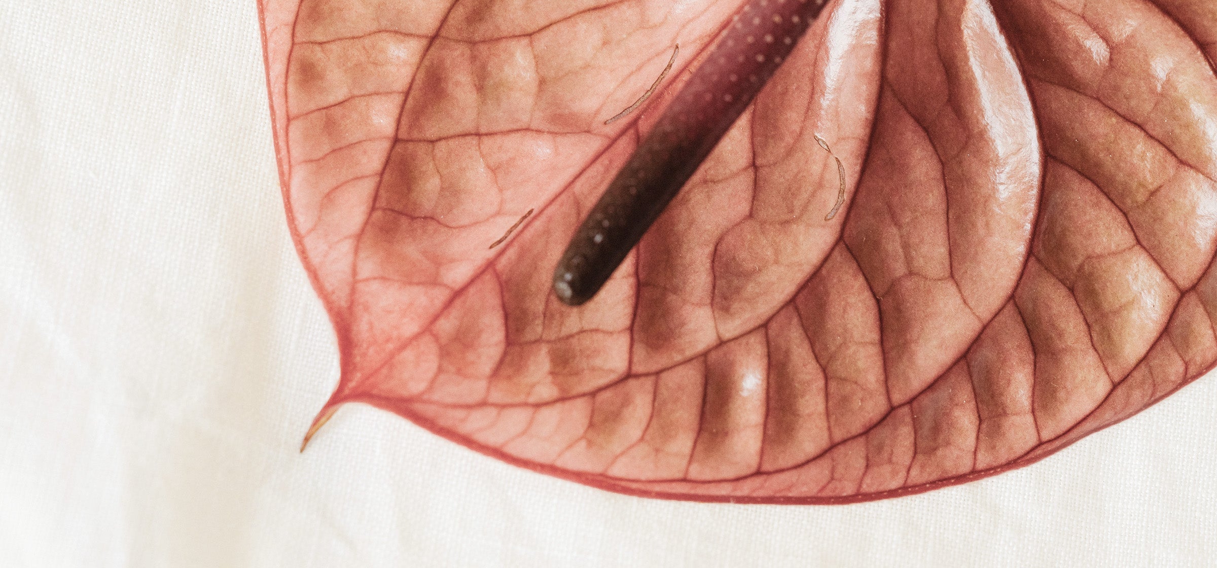 Wenn die Haut blüht - Rosacea: Behandlung, Pflege und Tipps